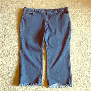 Avenue Denim Cotton Jeans size 26 Petite